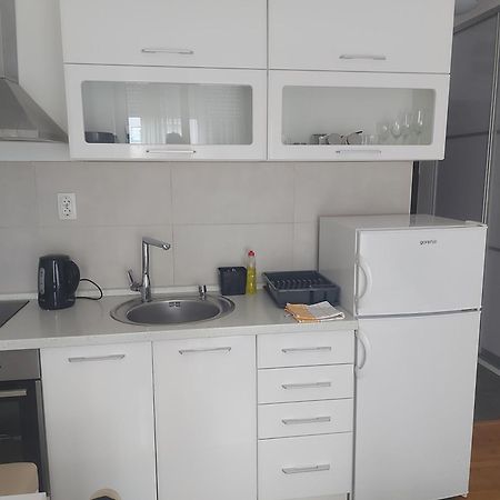Nikola Ns Daire Novi Sad Dış mekan fotoğraf