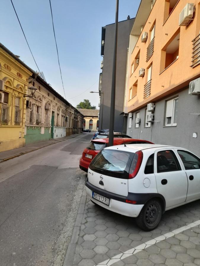 Nikola Ns Daire Novi Sad Dış mekan fotoğraf