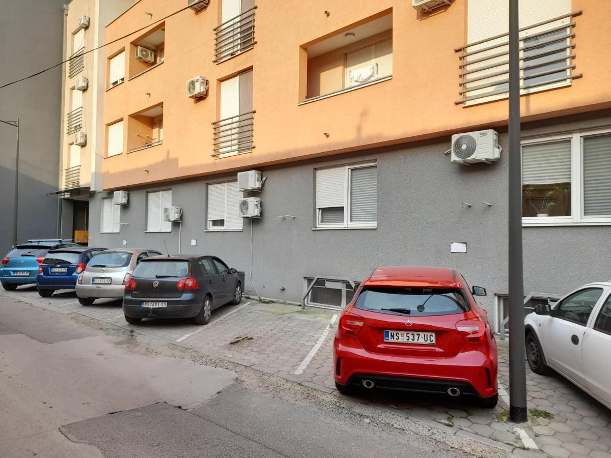 Nikola Ns Daire Novi Sad Dış mekan fotoğraf