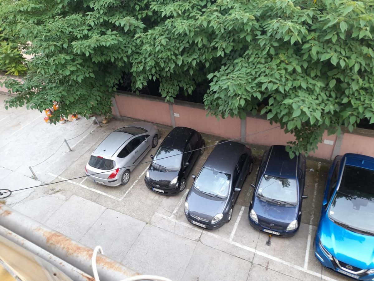 Nikola Ns Daire Novi Sad Dış mekan fotoğraf