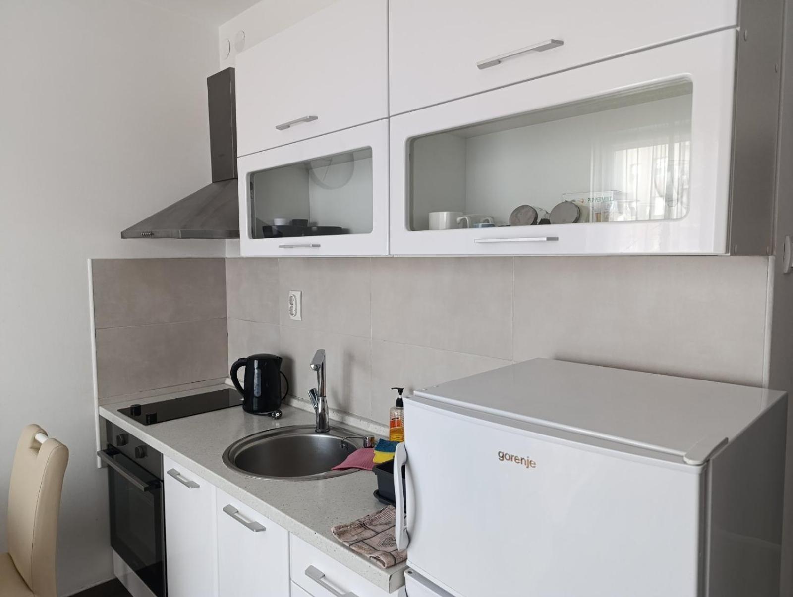 Nikola Ns Daire Novi Sad Dış mekan fotoğraf